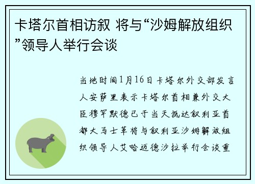 卡塔尔首相访叙 将与“沙姆解放组织”领导人举行会谈